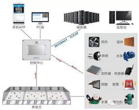 全面賦能 RFID解決方案中心引領物聯網時代核心應用